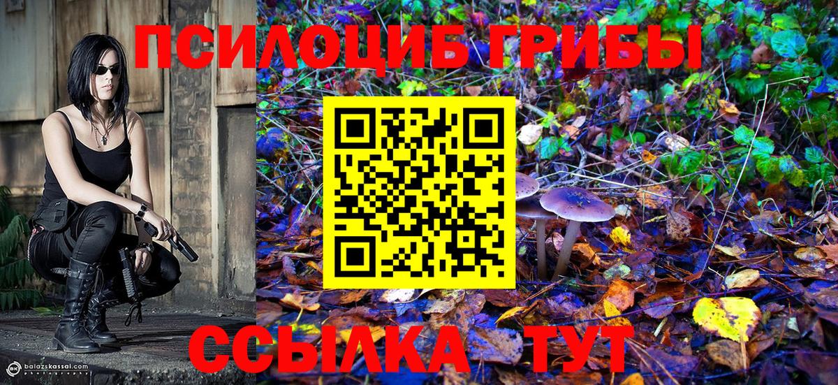 Черногорск  Галлюциногенные грибы мицелий  Вход с VPN 