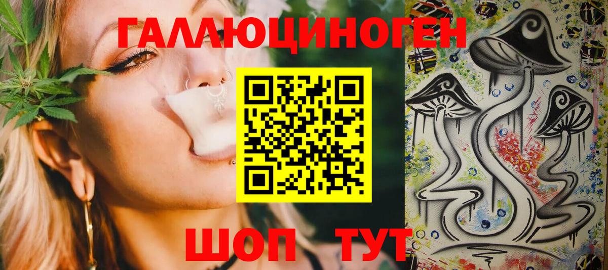 Галлюциногенные грибы Psilocybine cubensis Черногорск